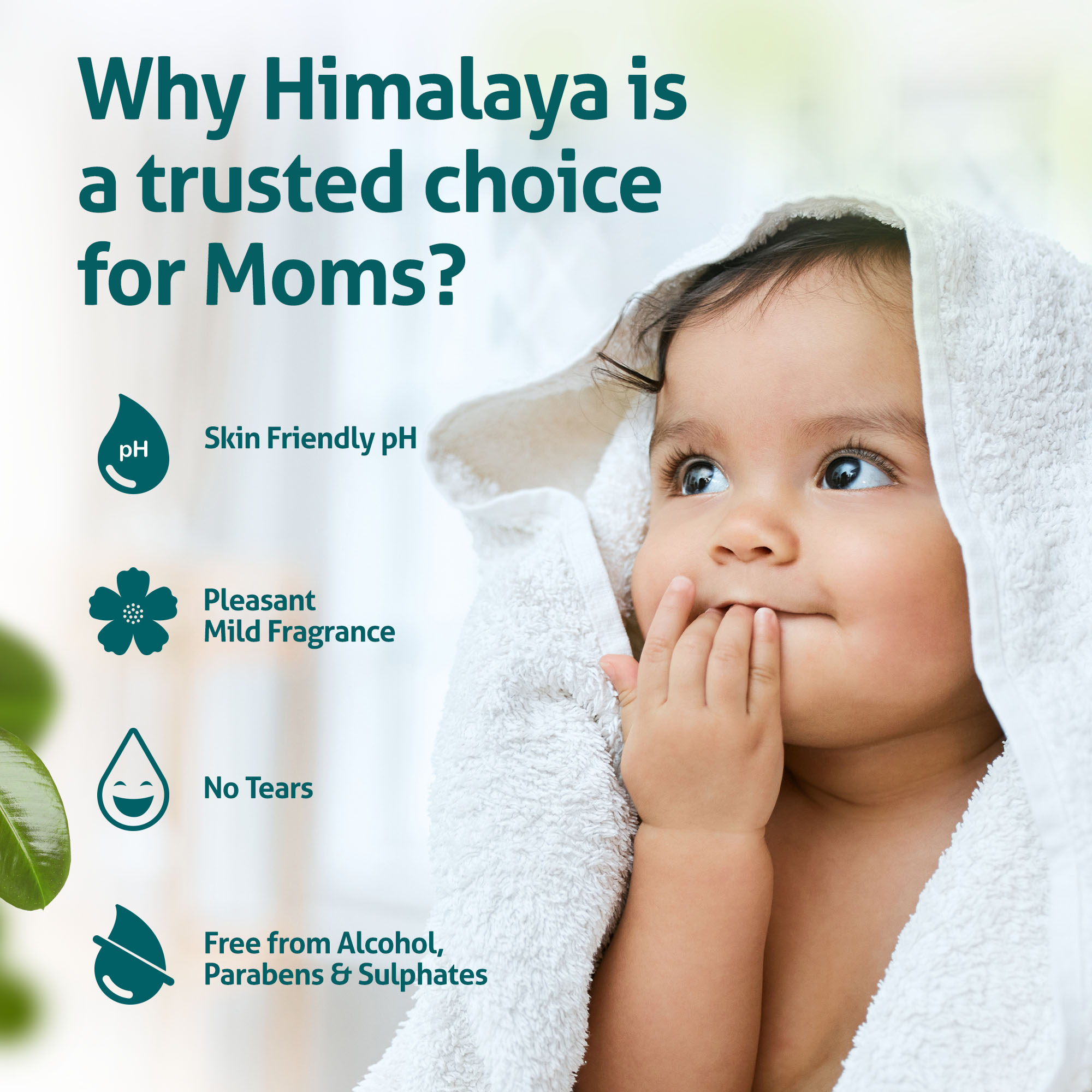 Himalaya No Tears Gentle Baby Bath with Chickpeas and Green Grams, Suitable for Delicate Newborn Skin, Cleanses & Soothes, Clinically Tested, Free from Alcohol, Parabens & Sulphates- 200ml - Image 6