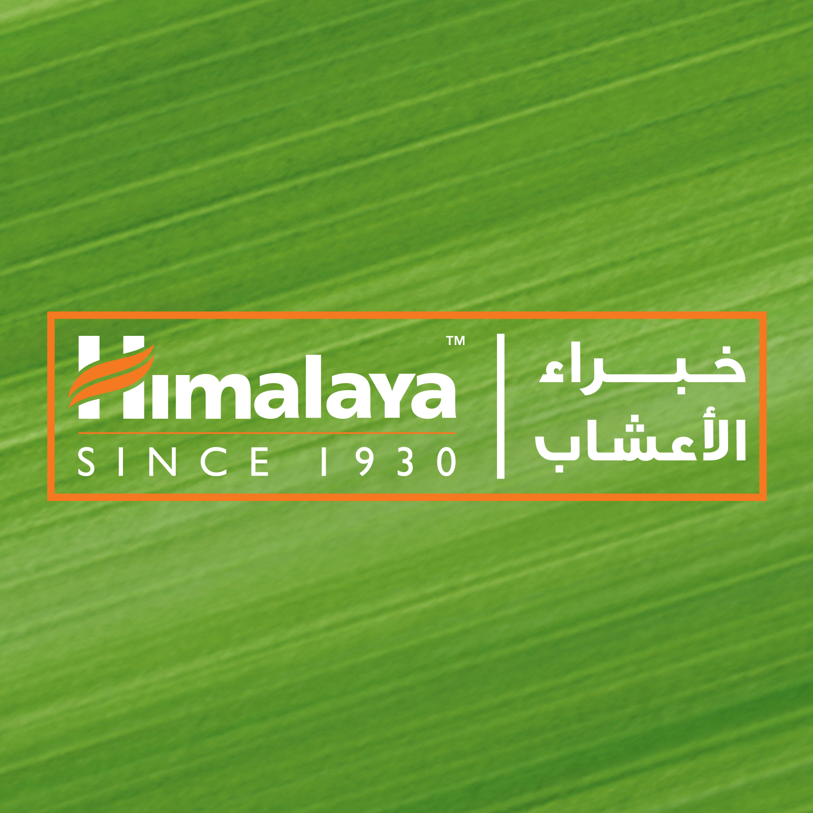Himalaya Detoxifying Charcoal Face Wash Help Remove Dirt & Purify the Skin, Leaving Refreshed 150 ml - Image 5